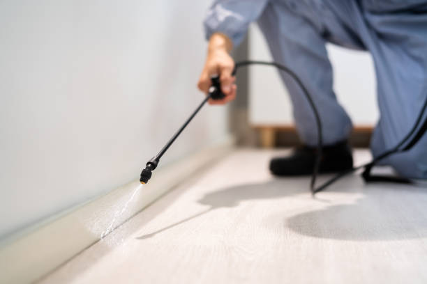 Licensed Fumigation Services service in Las Vegas, NV - Nex Pest Control