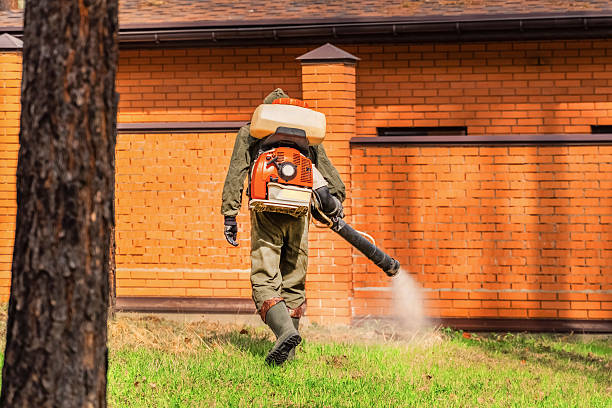 Trusted Bed Bug Control service in Las Vegas, NV - Nex Pest Control
